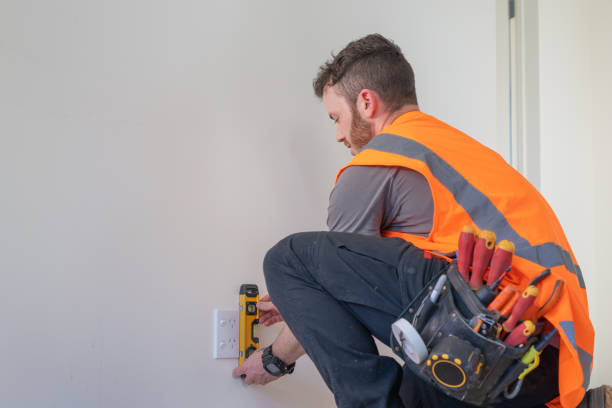 Best Ceiling Fan Installation Electrician  in Lisle, IL